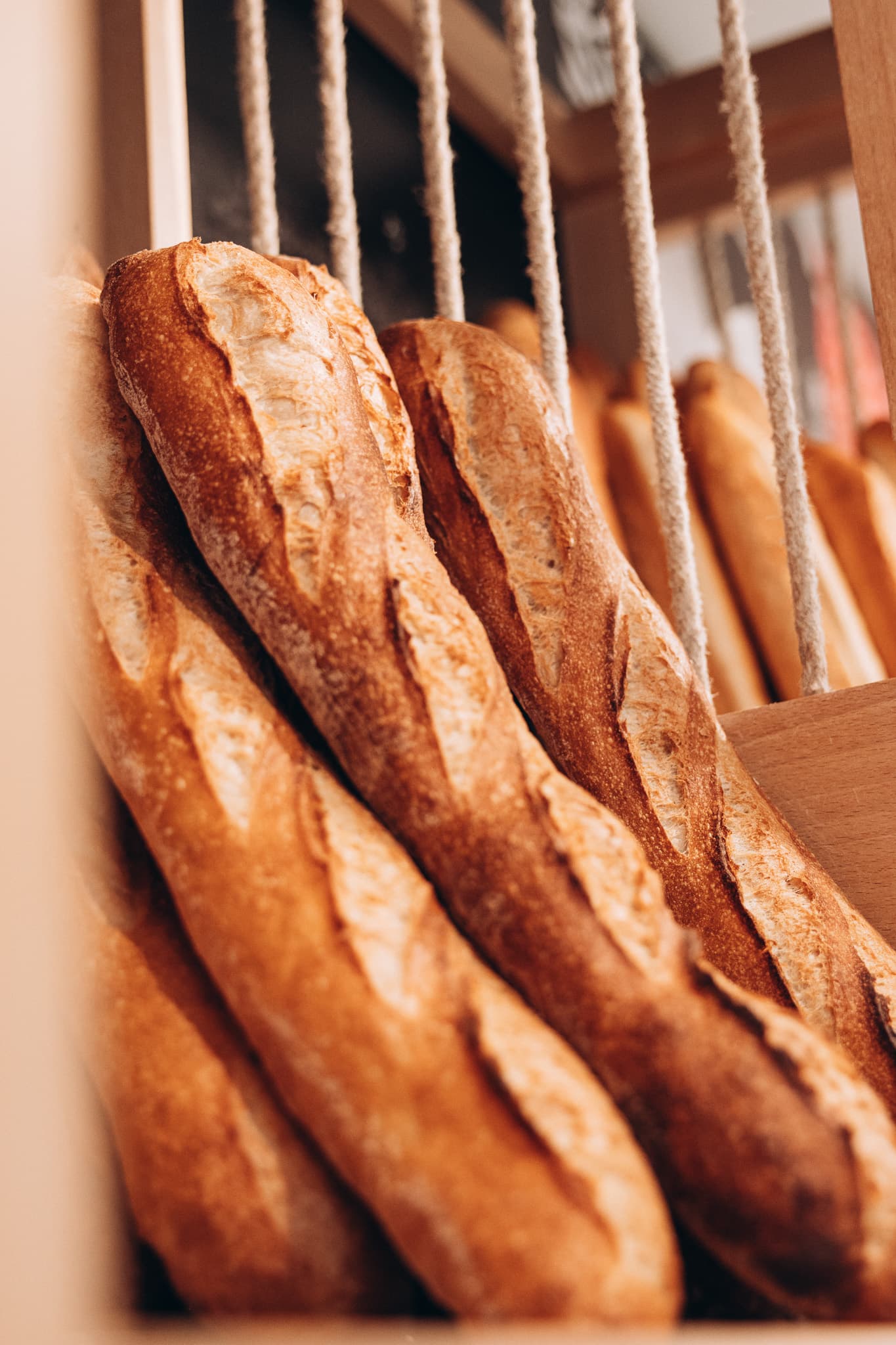 Baguettes artisanales fraîchement cuites